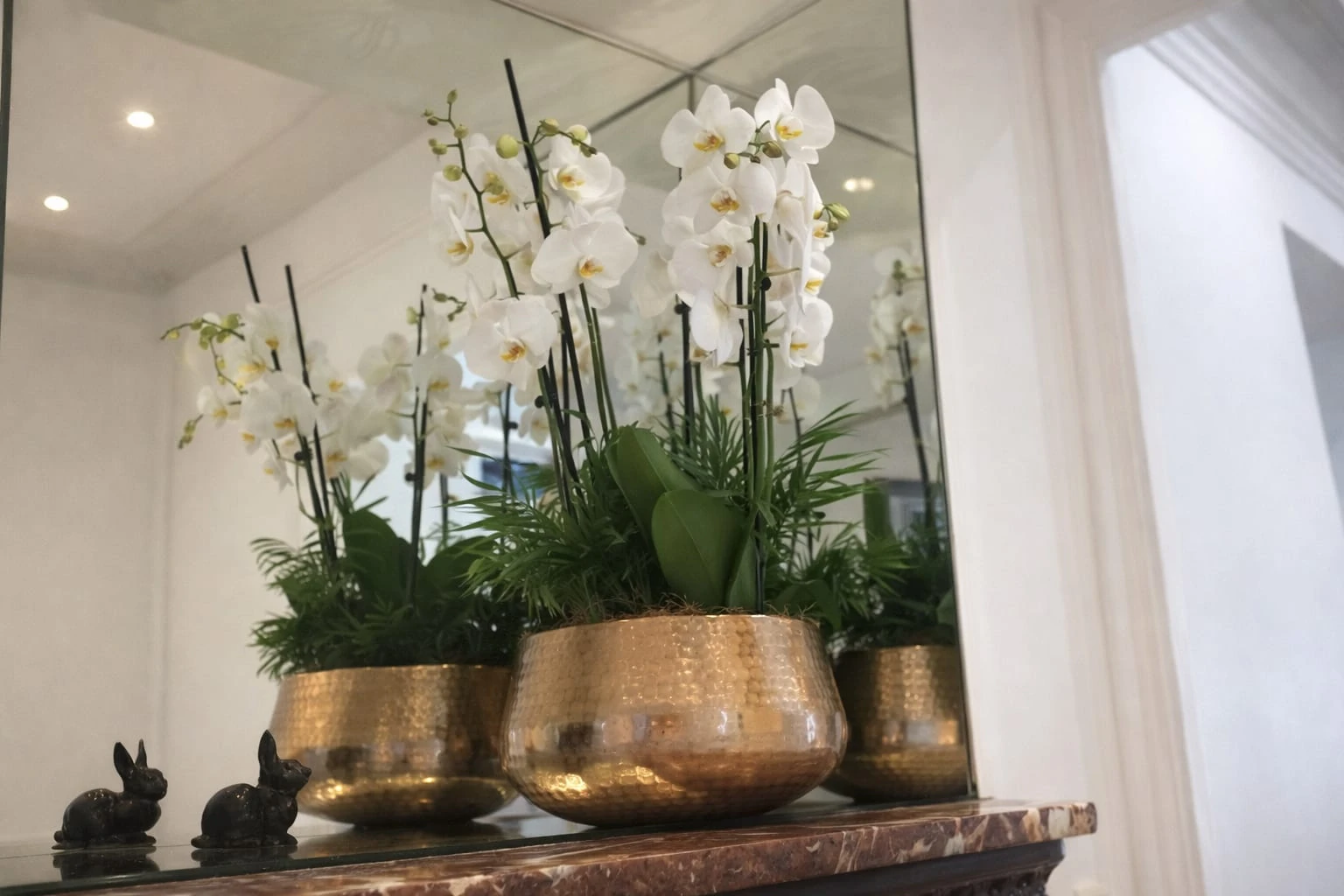 Orchidée blanche et dorée dans un intérieur élégant
